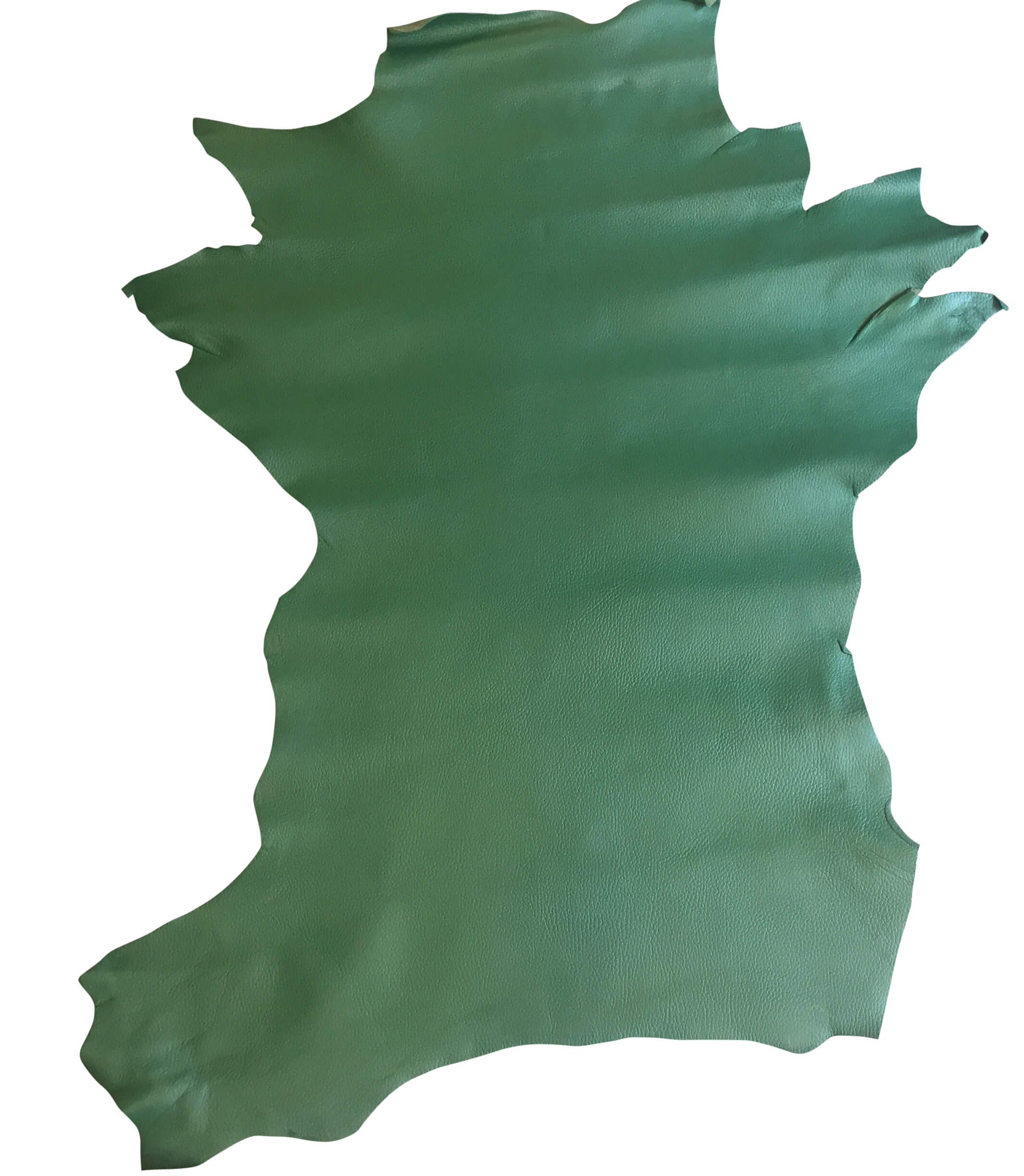 Green Genuine leather hides for Upholstery