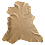 Brown colored Leather hides